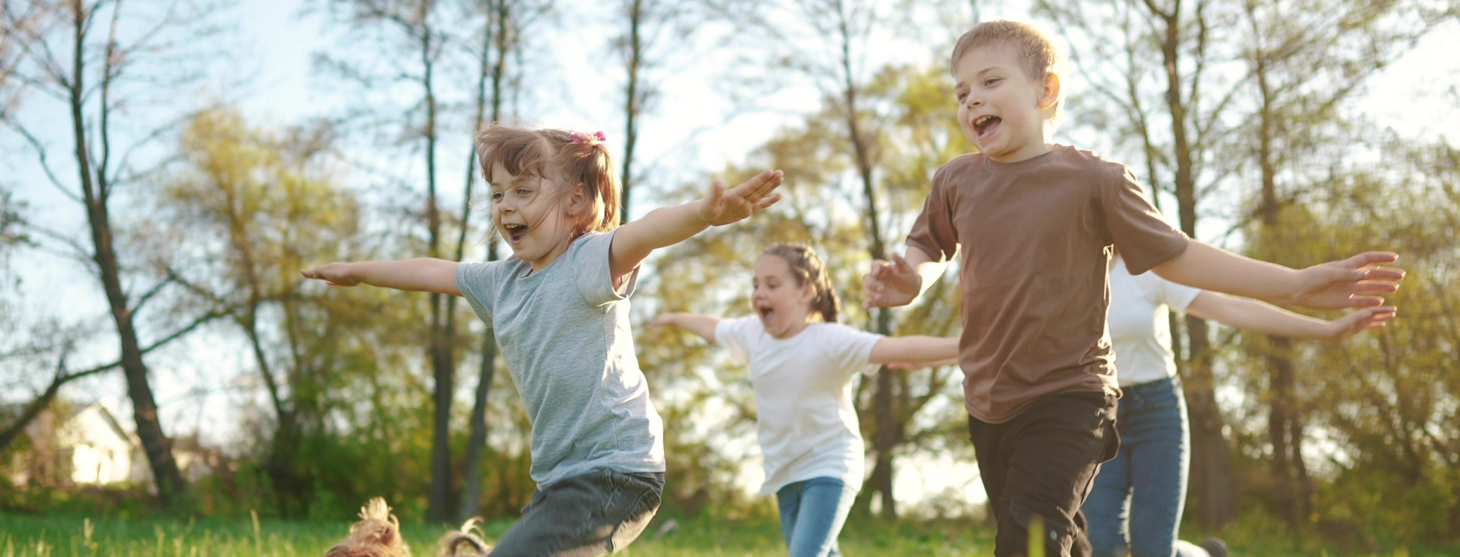 Waldorf Education